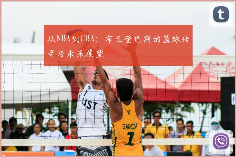 从NBA到CBA：布兰登巴斯的篮球传奇与未来展望