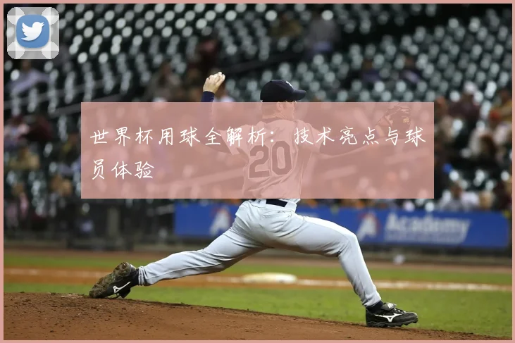 世界杯用球全解析：技术亮点与球员体验