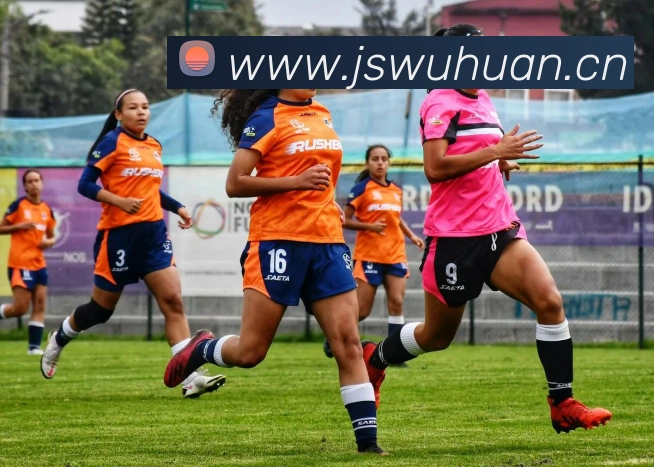 星空体育中国官方网站APP 封面图